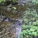 L'eau c'est la vie...