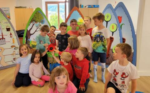Partons à la découverte des végétaux